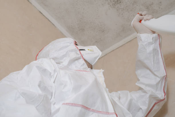 Certified Mold Removal in Level Park Oak Park, MI